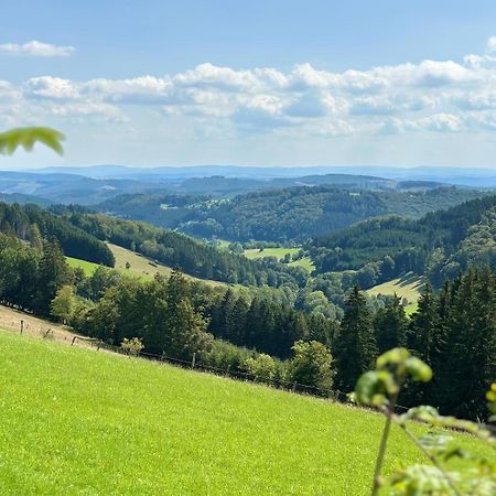 Ferienwohnung Up Willingen-Schwalefeld วิลลิงเงิน ภายนอก รูปภาพ