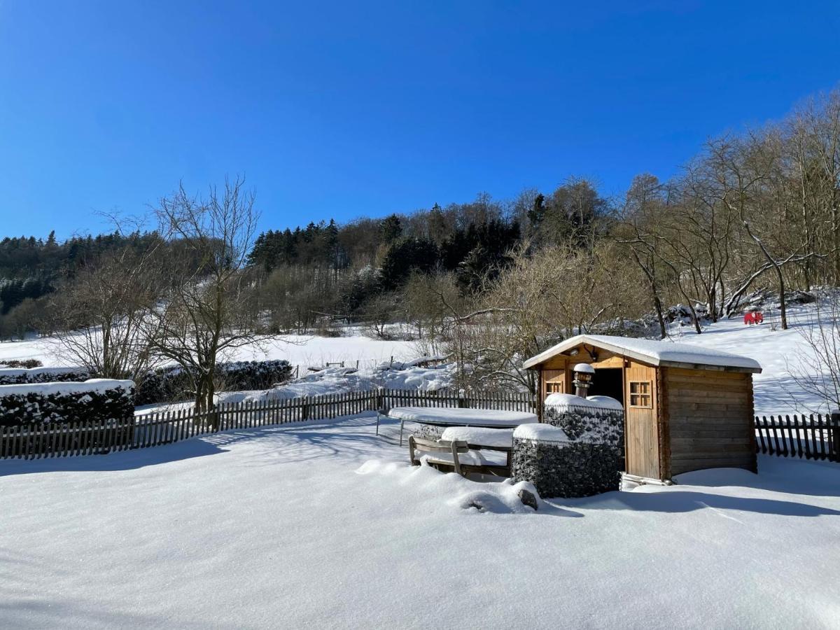 Ferienwohnung Up Willingen-Schwalefeld วิลลิงเงิน ภายนอก รูปภาพ