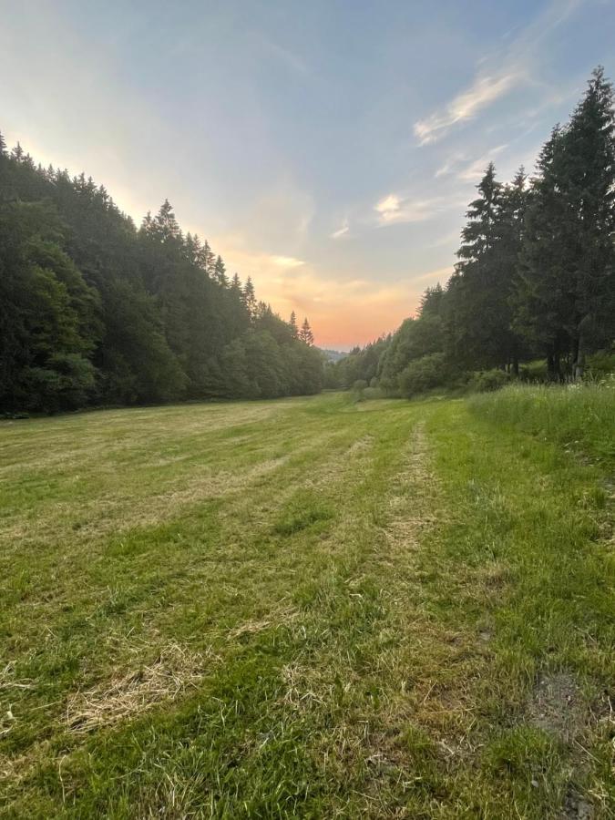 Ferienwohnung Up Willingen-Schwalefeld วิลลิงเงิน ภายนอก รูปภาพ