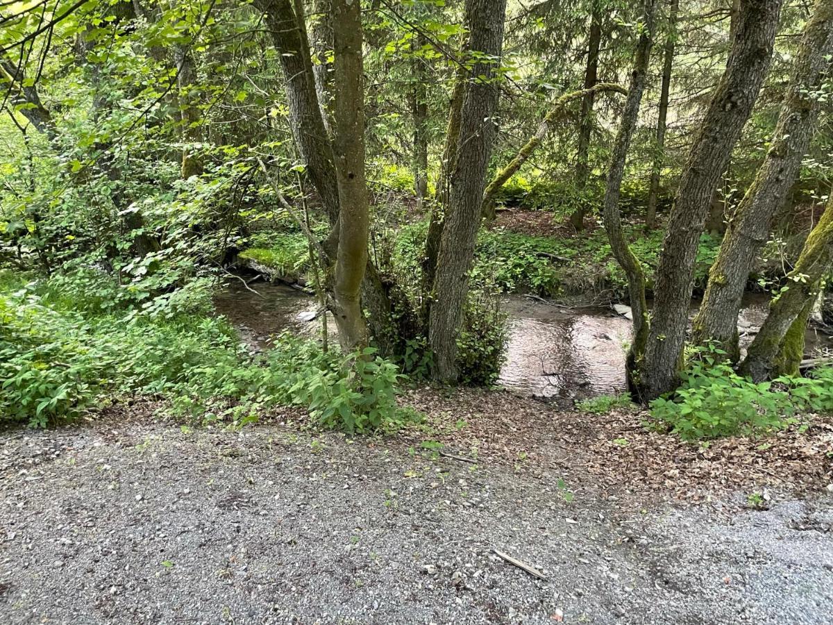 Ferienwohnung Up Willingen-Schwalefeld วิลลิงเงิน ภายนอก รูปภาพ