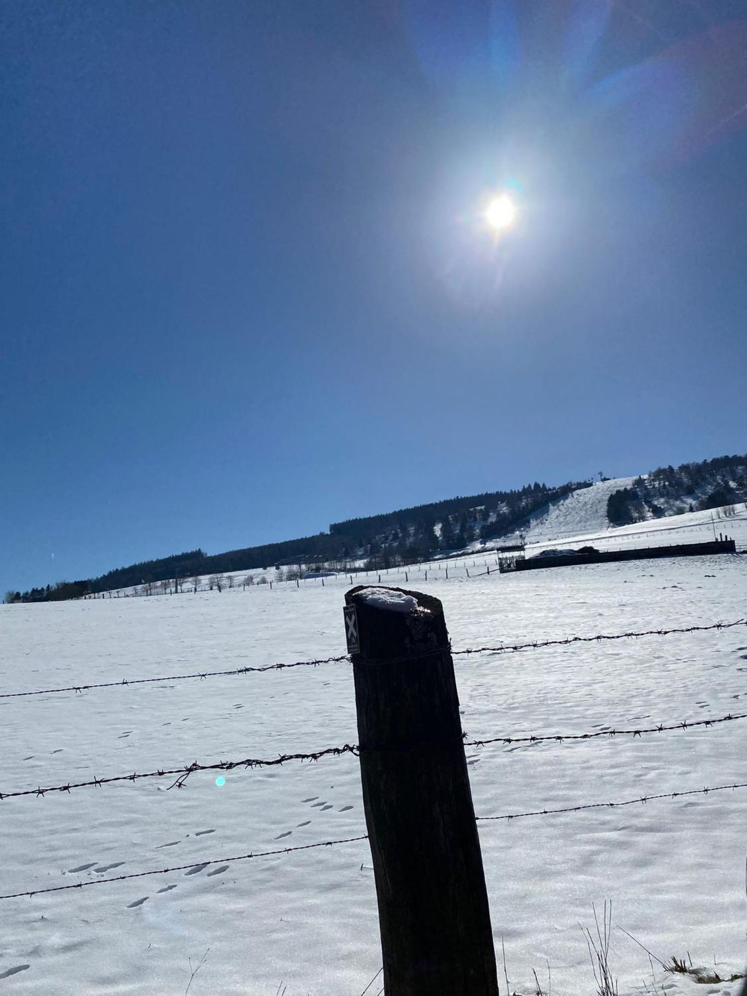 Ferienwohnung Up Willingen-Schwalefeld วิลลิงเงิน ภายนอก รูปภาพ