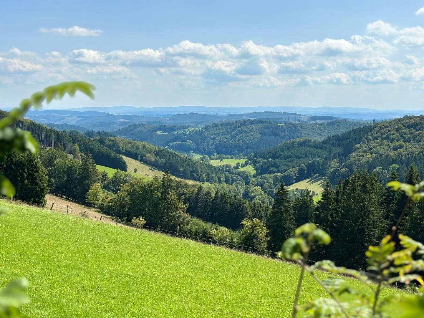 Ferienwohnung Up Willingen-Schwalefeld วิลลิงเงิน ภายนอก รูปภาพ